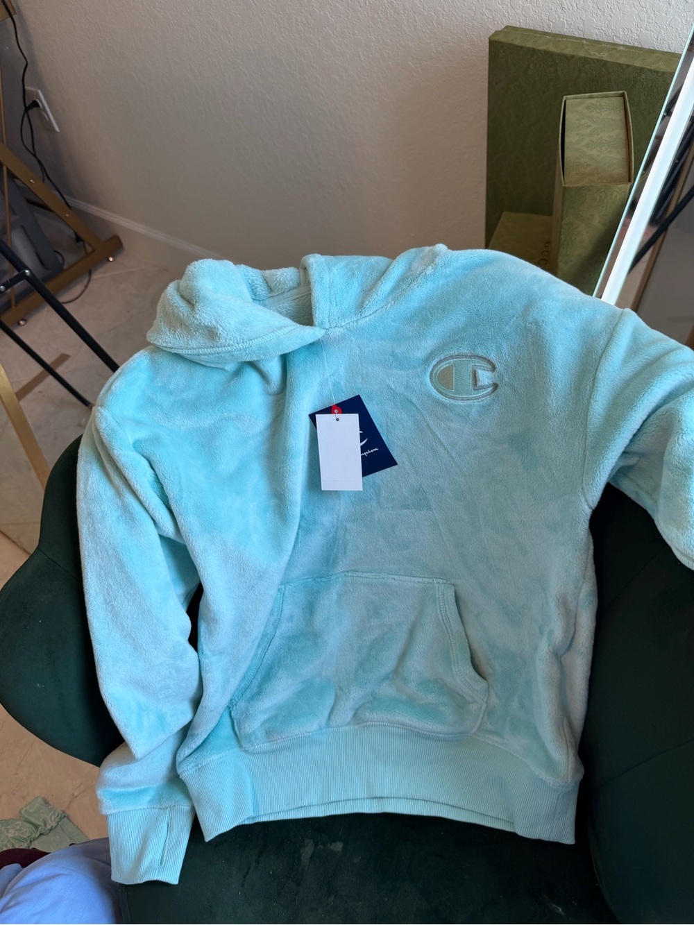 Champion Kids Plush Hoodie in Light Aqua Blue